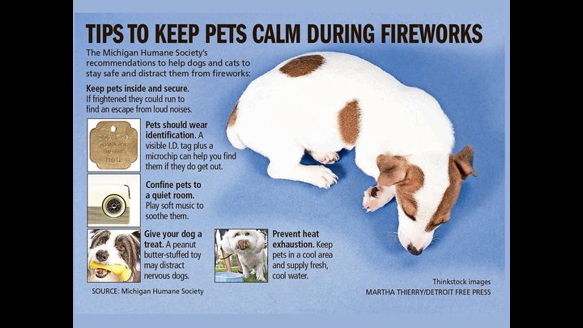 The Fourth of July is just around the corner and those loud firework shows can frighten pets. Dr. Laura  Saunders from Firehouse Animal Health Center stopped by KVUE to share some tips on how to comfort your pets during firework shows.