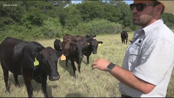 Battlefield To Pastures Group Helps Veterans Turn Farming Into A