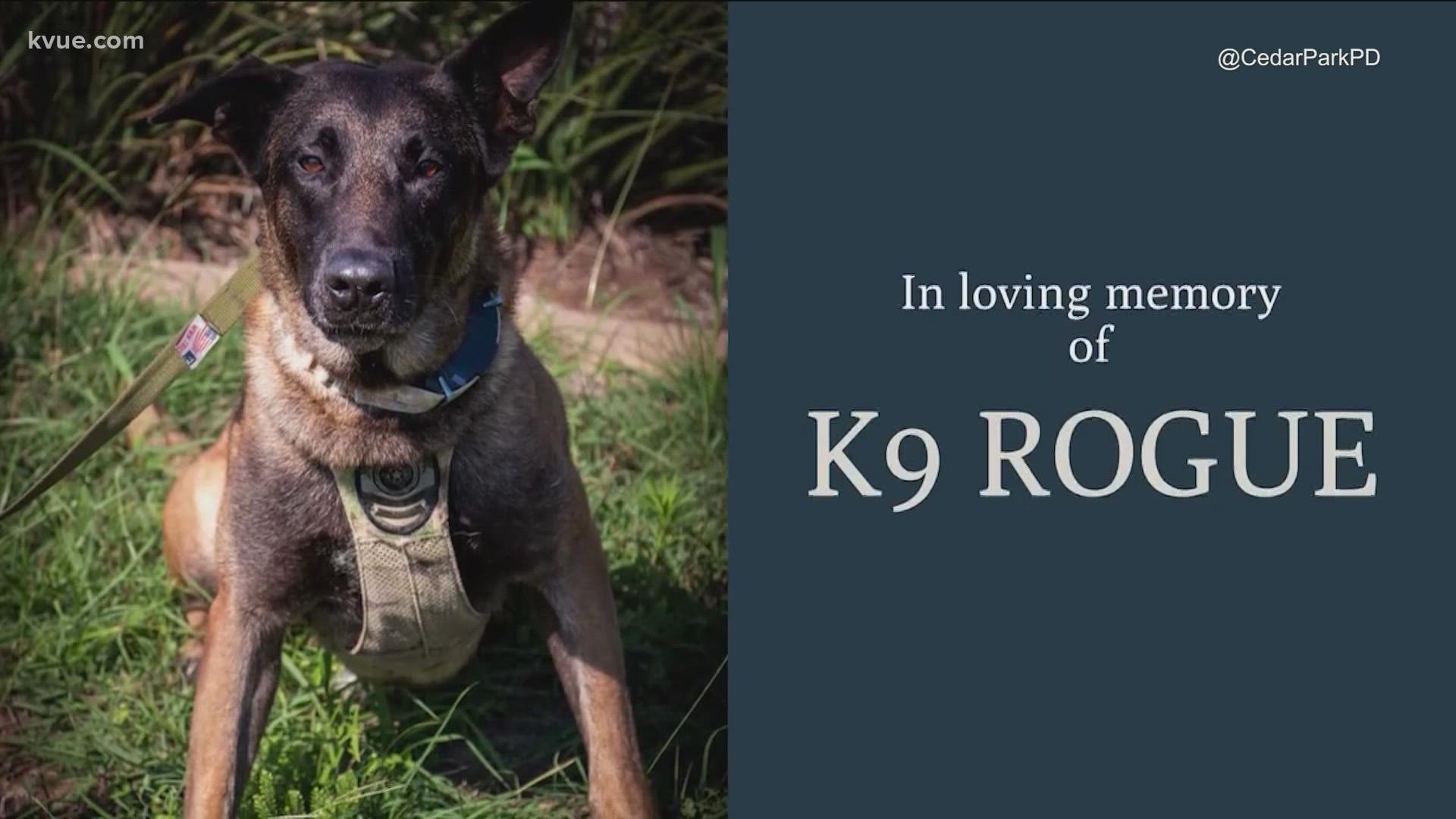 The Cedar Park Police Department is mourning the death of one of its four-legged officers.