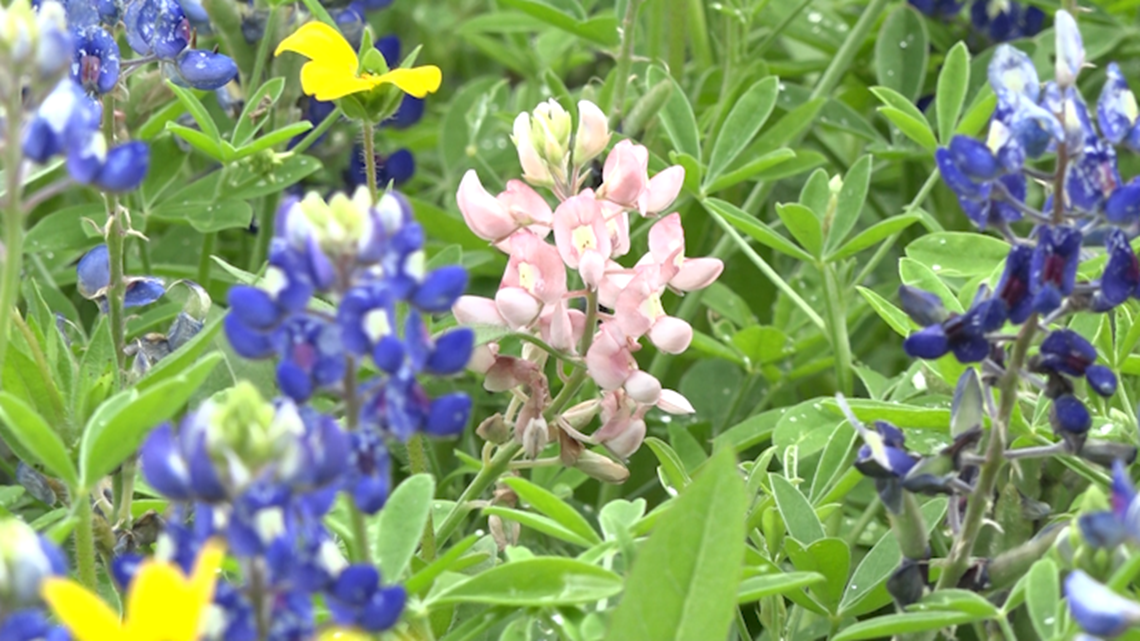 PHOTOS come in different colors and sizes