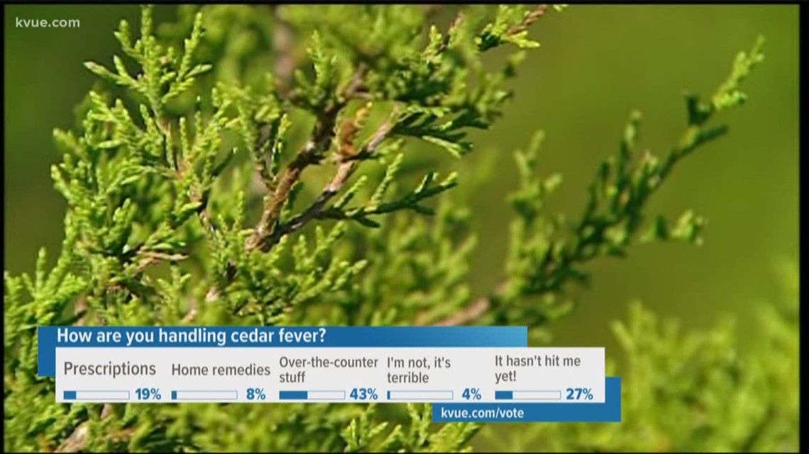 Cedar allergies have some wanting to get rid of trees