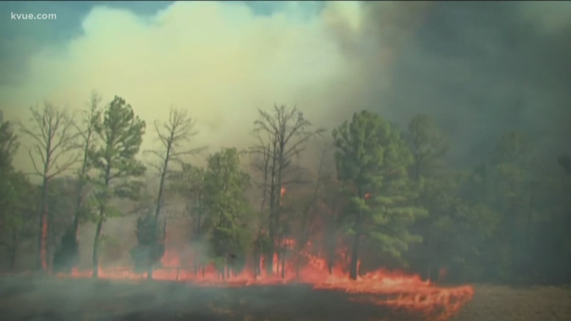 2011 Bastrop County wildfire 5M settlement reached in case against