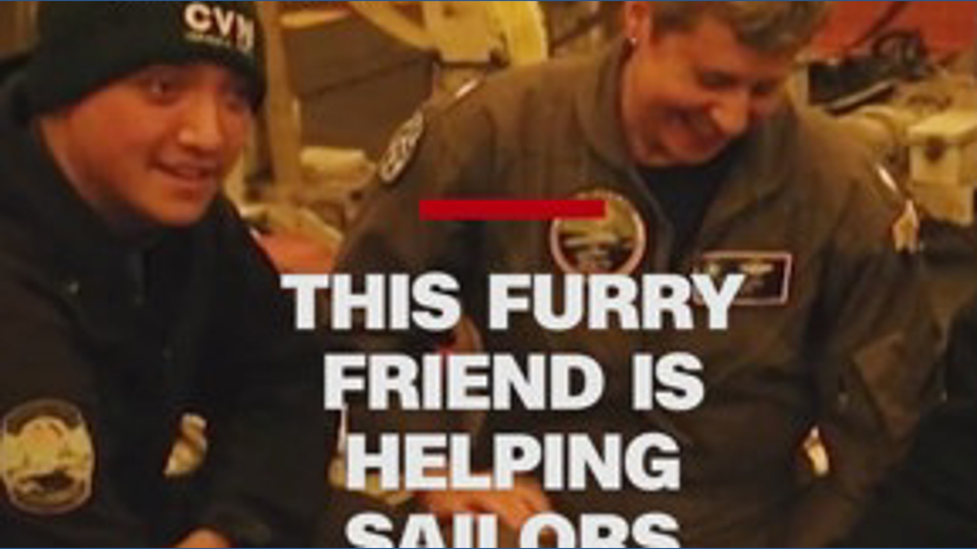 Furry friend helps sailors deal with stress on USS Gerald R. Ford ...