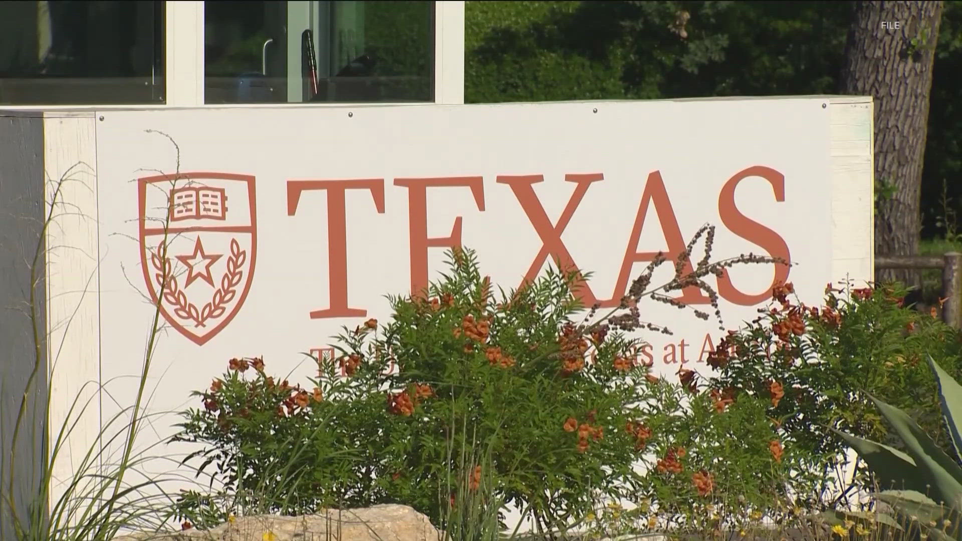 At the University of Texas, routine audits are searching the university website for terms related to diversity, equity and inclusion. It's part of a statewide ban.