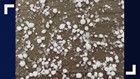 Sleet or graupel: What's the difference?