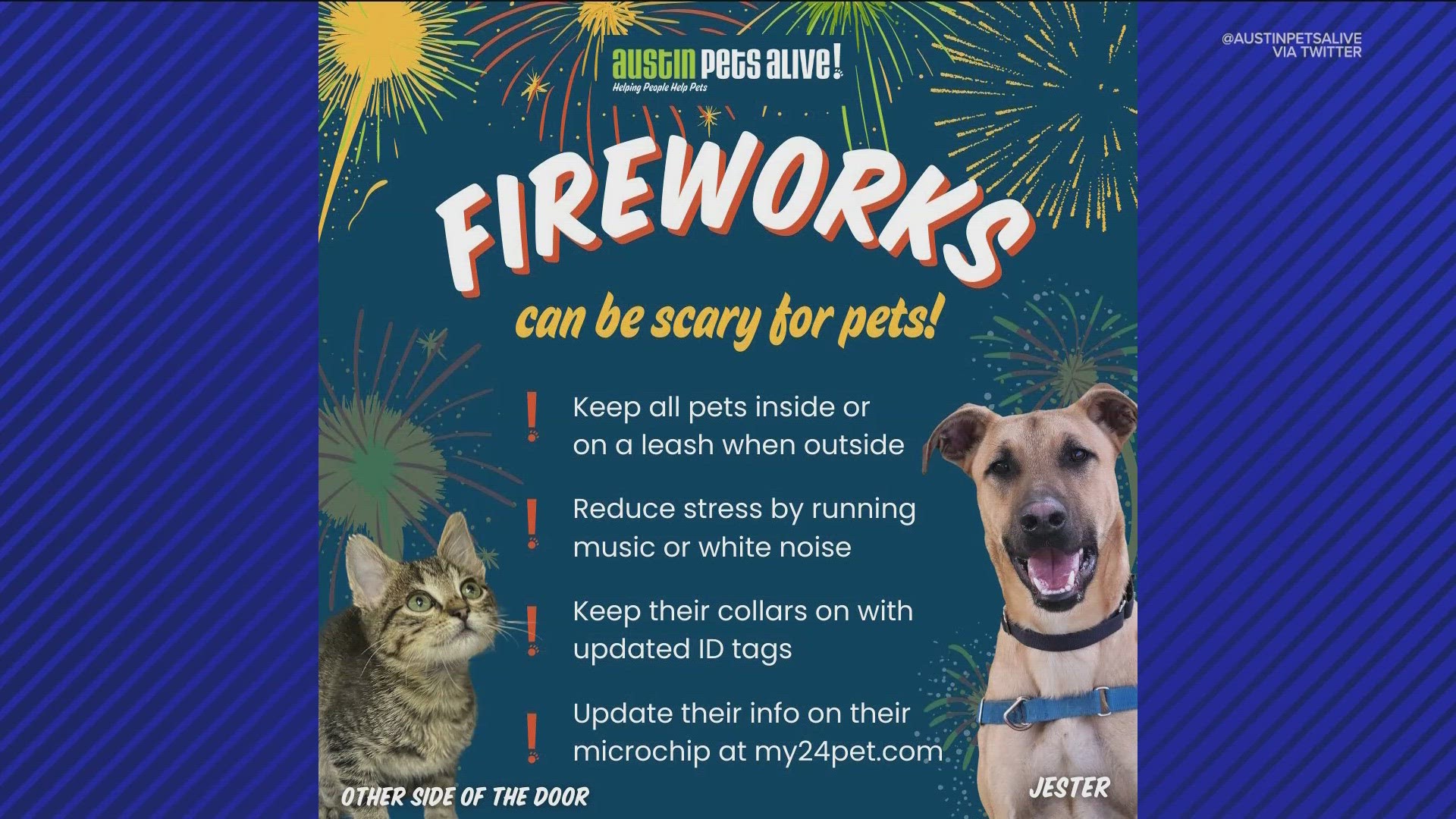 Austin Pets Alive! is sharing some tips for how to keep your pets calm during Fourth of July celebrations.