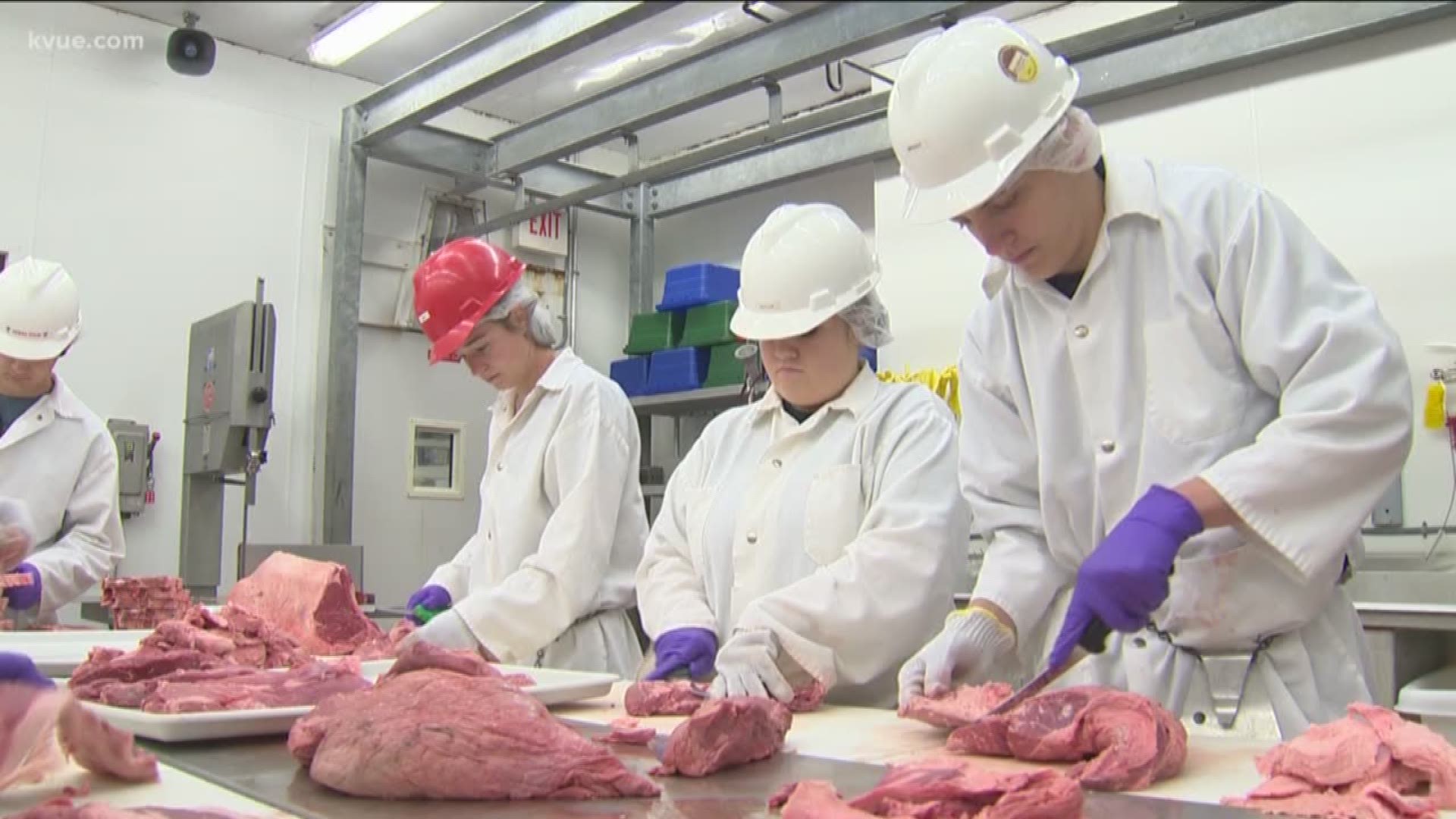 Not only are the Florence High School students learning about the different cuts of beef, pork and lamb, they are also learning how to run a business.
