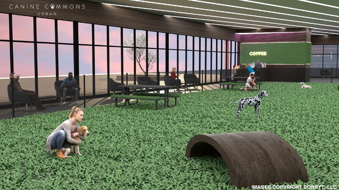 Austin's Canine Commons: Indoor dog park comes to The Domain | kvue.com