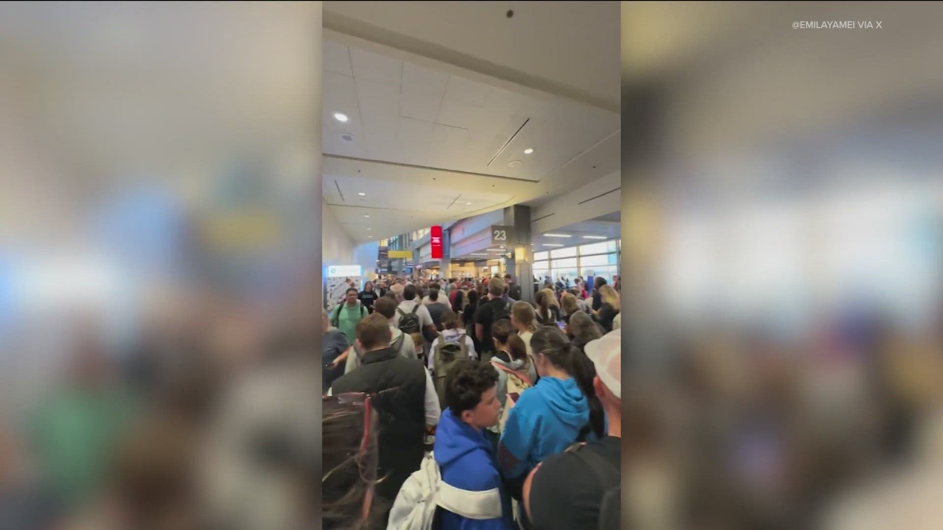 Mesmerizing Miami International Airport Evacuated Due To