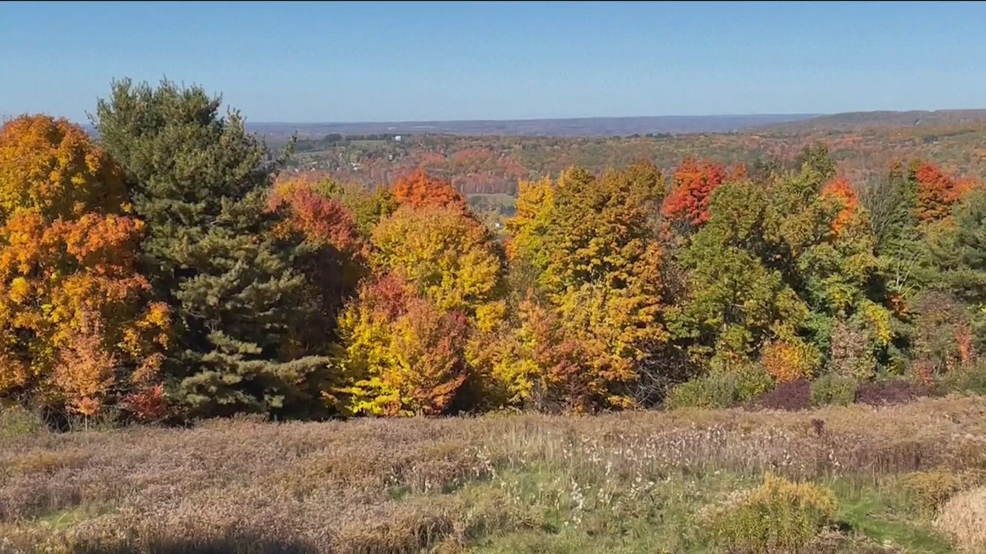 Typically, fall foliage peaks around this time of year in upstate New York.