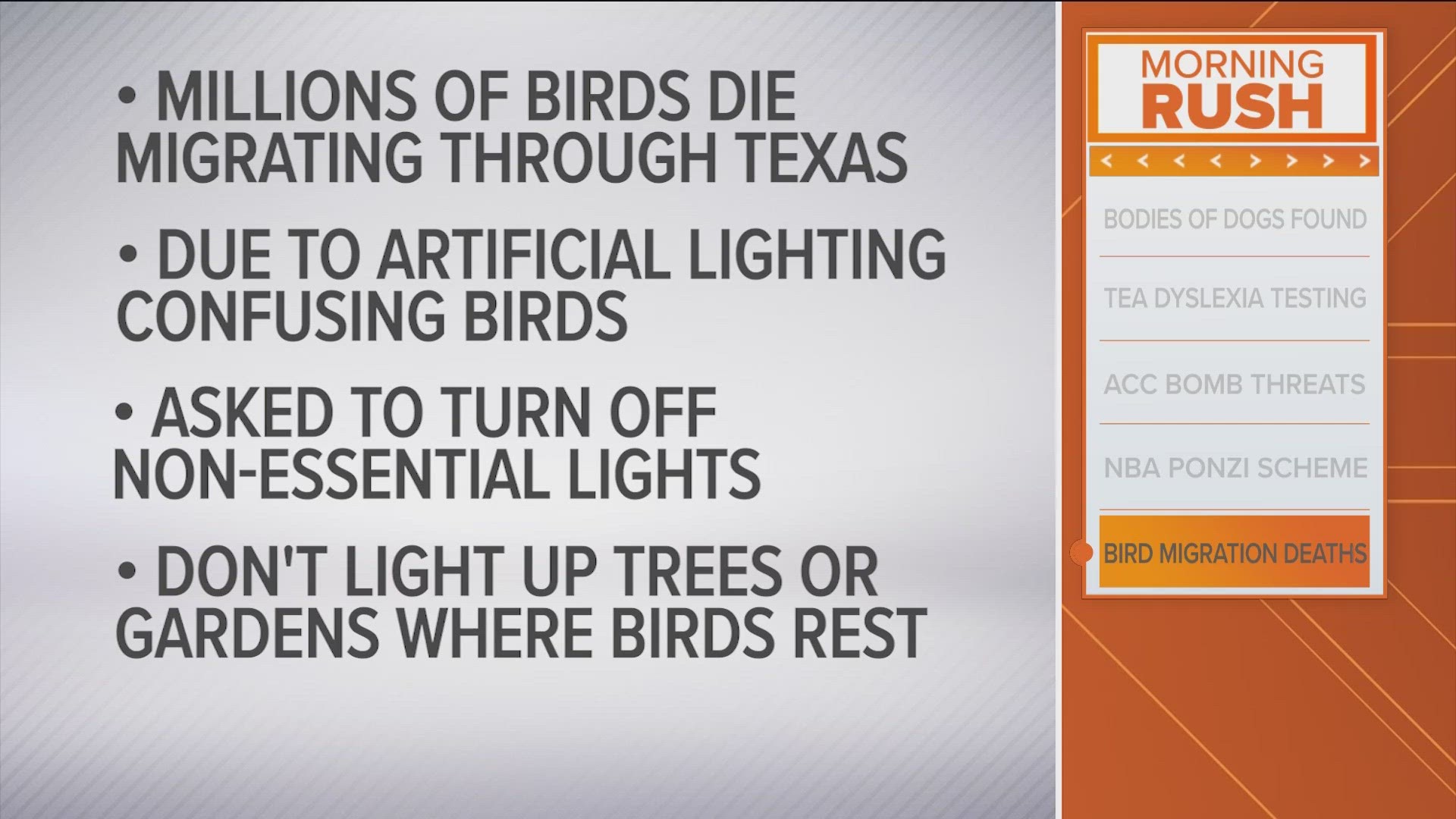 Birds can sometimes get confused between artificial lights and stars, which can in turn impact their navigation.