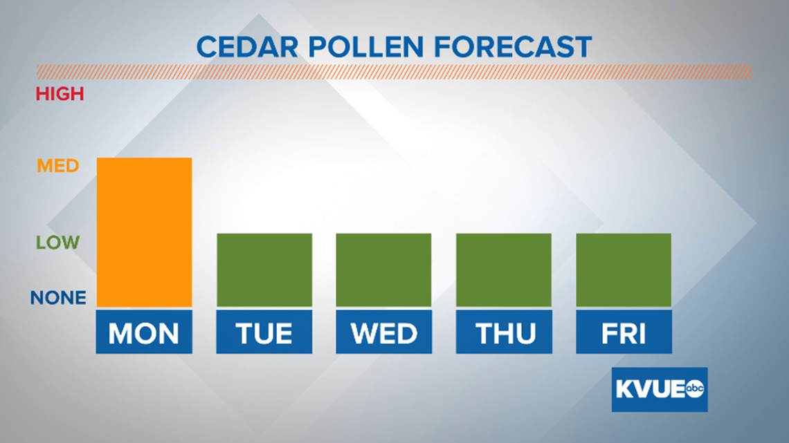 Austin allergies Cedar pollen expected to lower in Central Texas