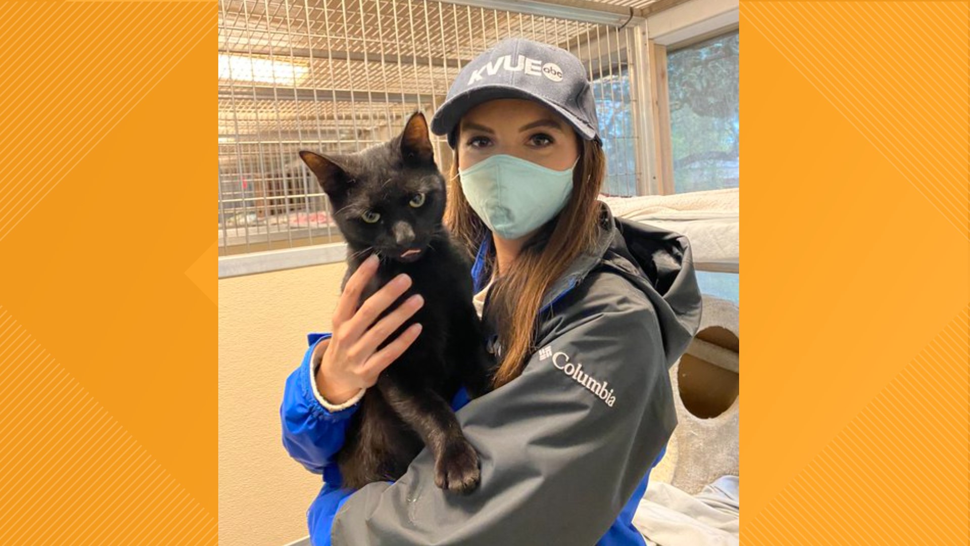 You can find Salem at the Texas Humane Heroes Leander Adoption Center, but you better hurry because he might just disappear!