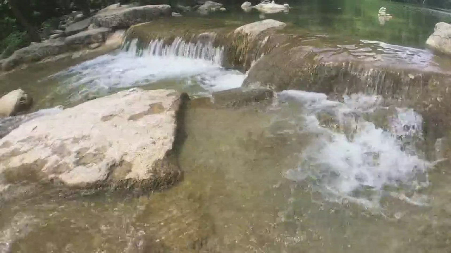 New app tracks water levels at Barton Creek Greenbelt