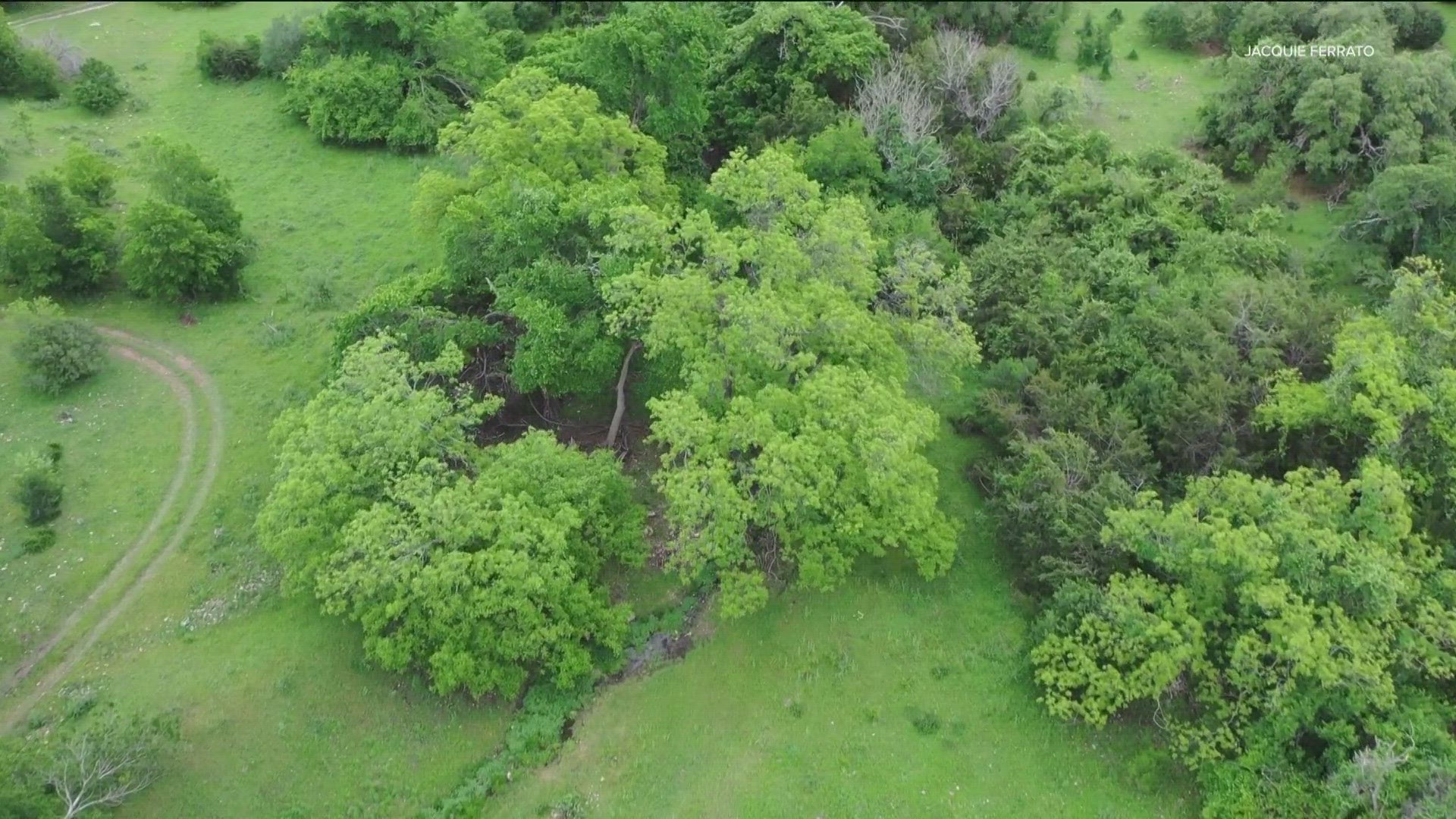 Williamson County has a new nature preserve.