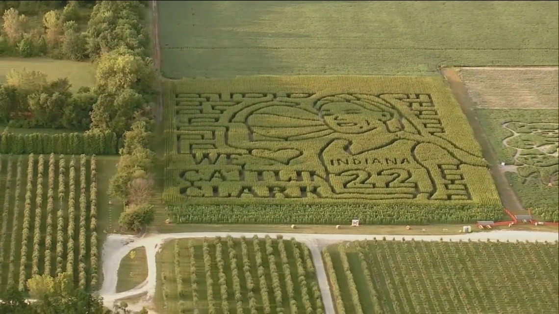 Indiana farmer creates corn maze of Caitlin Clark