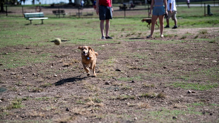 how do i start a members only dog park