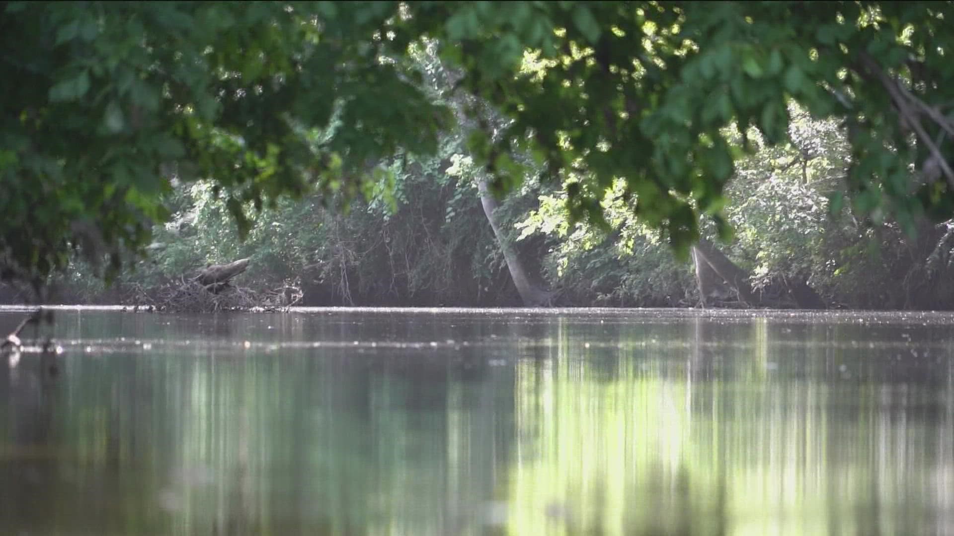 We now know what caused a mess along Brushy Creek in Round Rock.