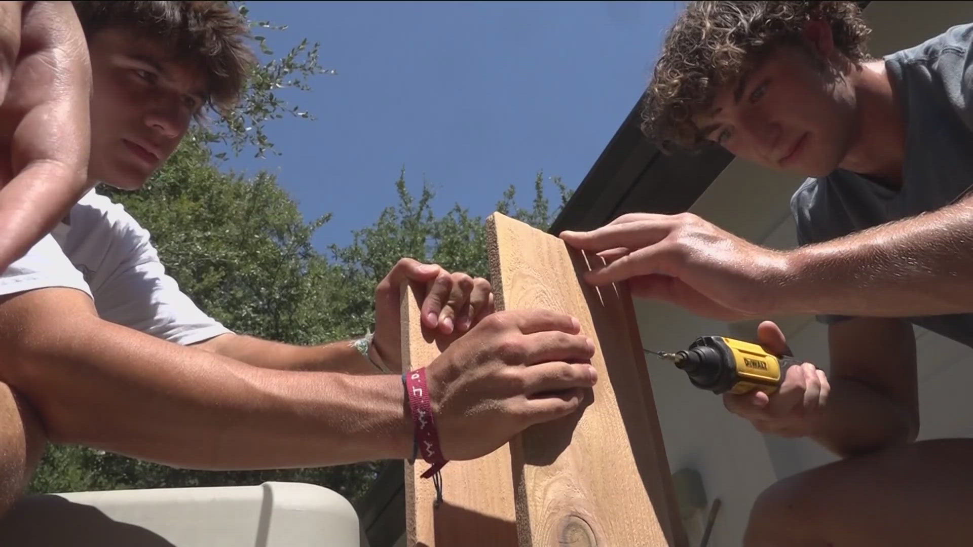 A pair of local high school seniors spent their summer helping the owl community.