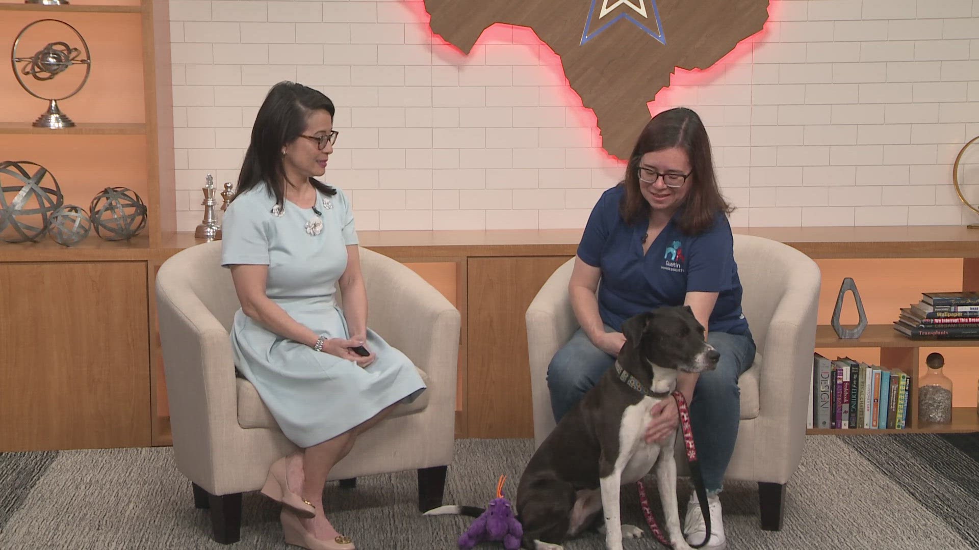 Sarah Hammel with the Austin Humane Society brought Zoey in to meet the KVUE Midday crew.