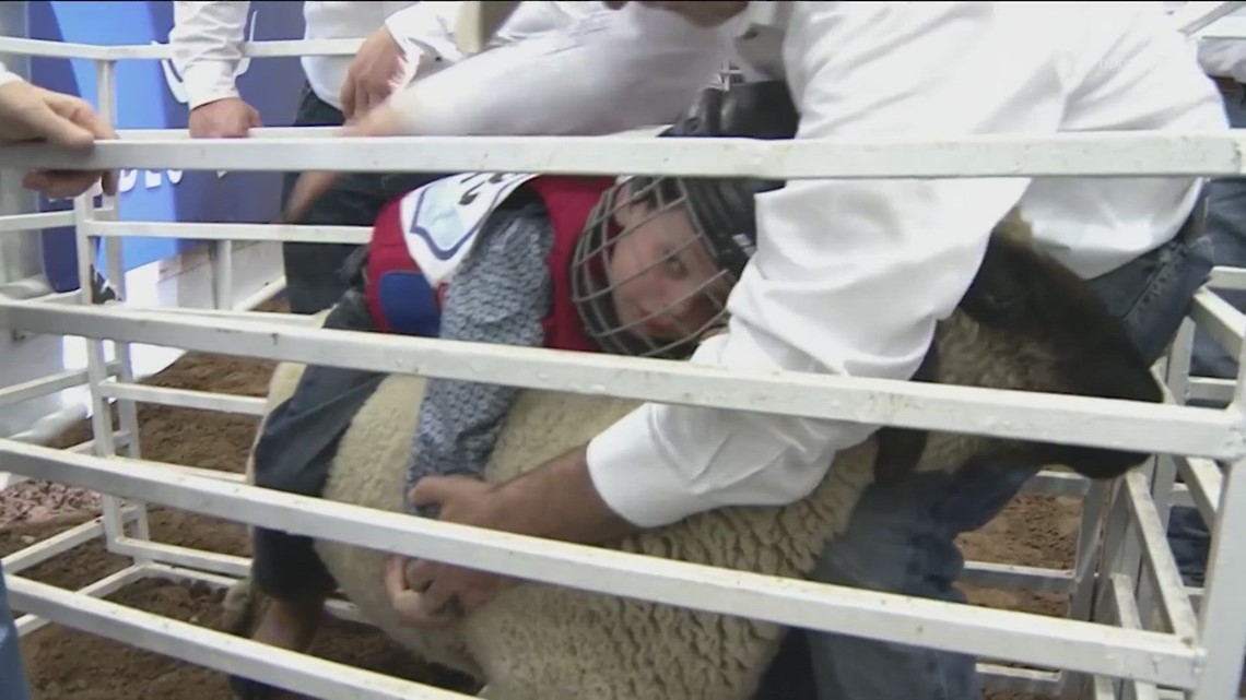 5-year-old cowboy competes in mutton bustin' event at Rodeo Austin