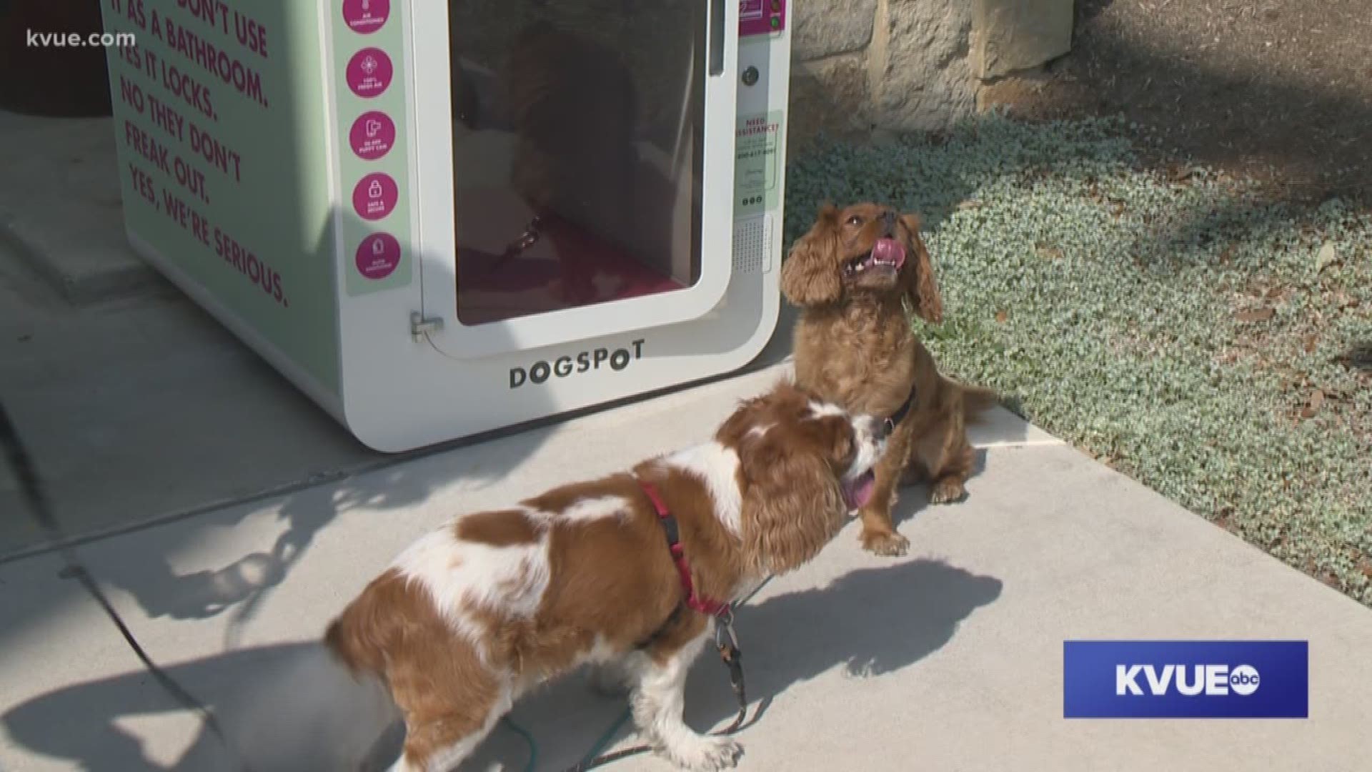 Hill Country Galleria debuts firstever 'sidewalk sanctuary' for dogs