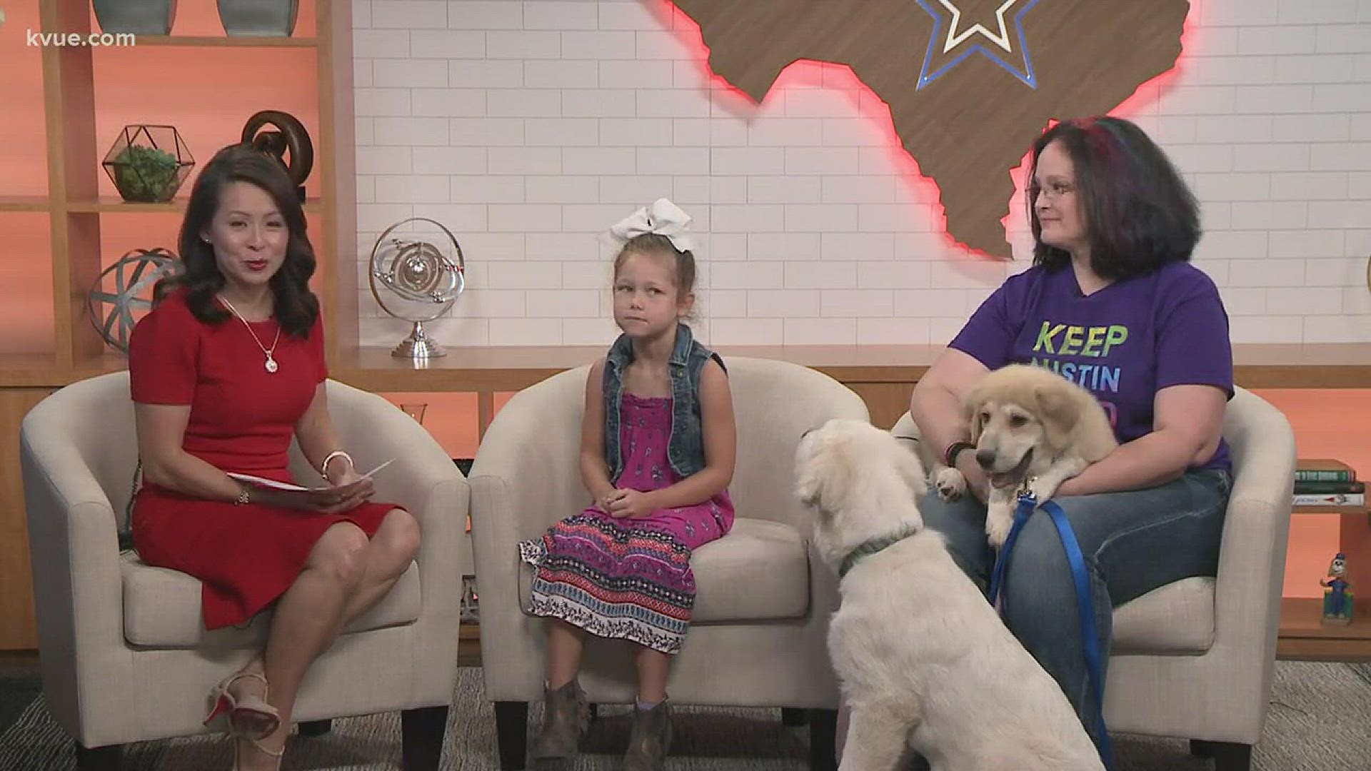 Joining us this morning is Katie Evans and Kendall Coin with Texas Great Pyrenees Rescue, and they've brought along Pico and Noodle today.