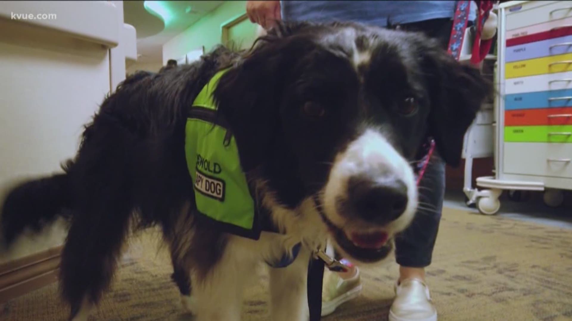 St. David's Children's Hospital hosted a special parade for children who couldn't make it out to the Fourth of July festivities.