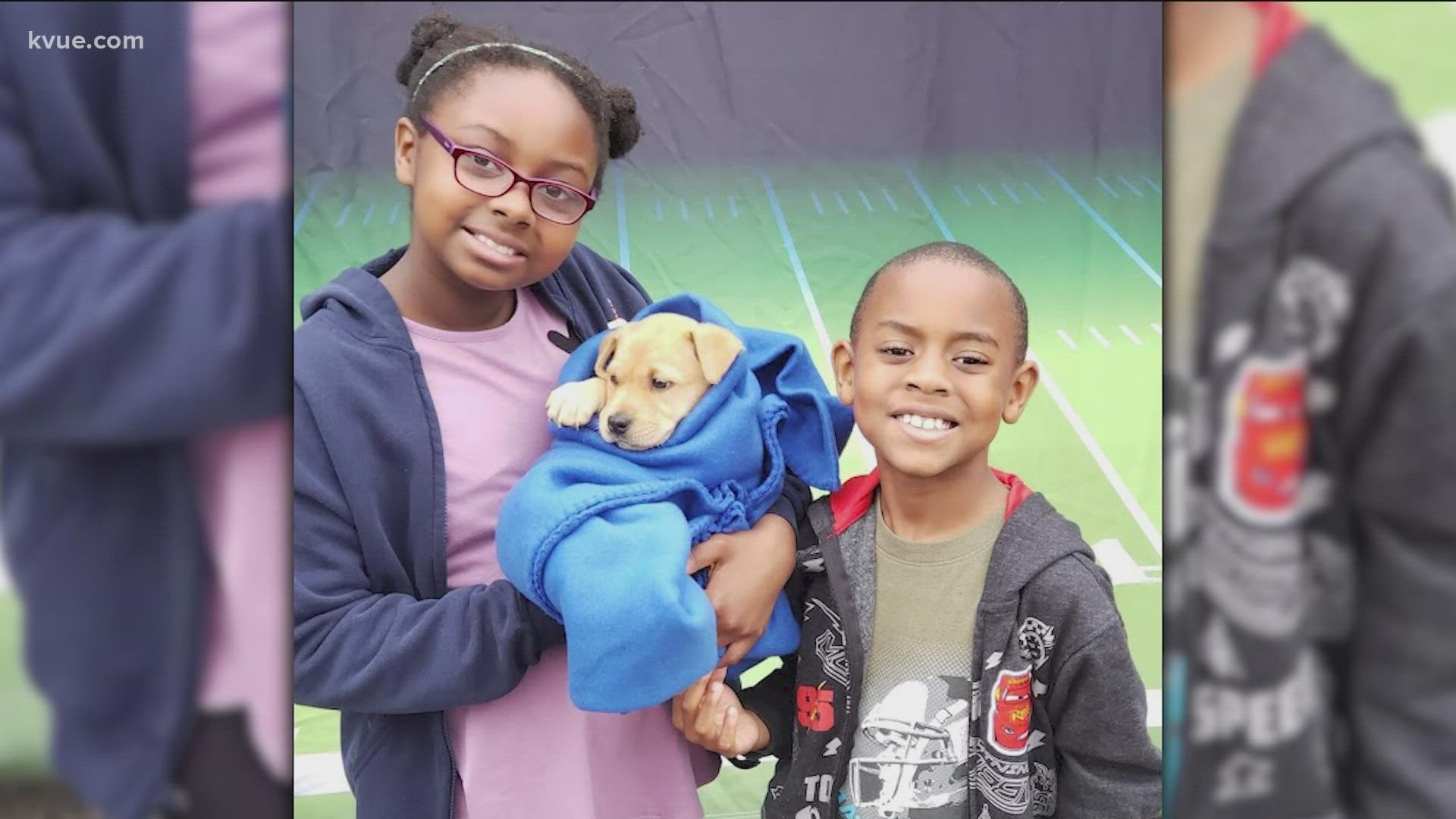 Puppy Bowl 2024 - Austin Humane Society