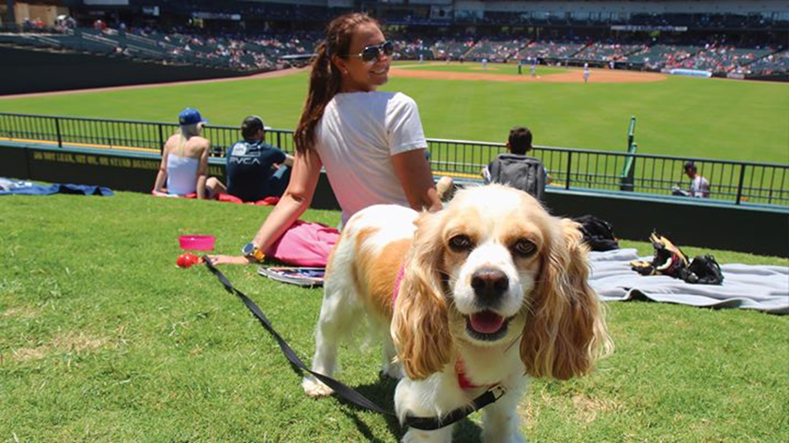 Dollar Dog Night at Dell Diamond Tonight - Round The Rock