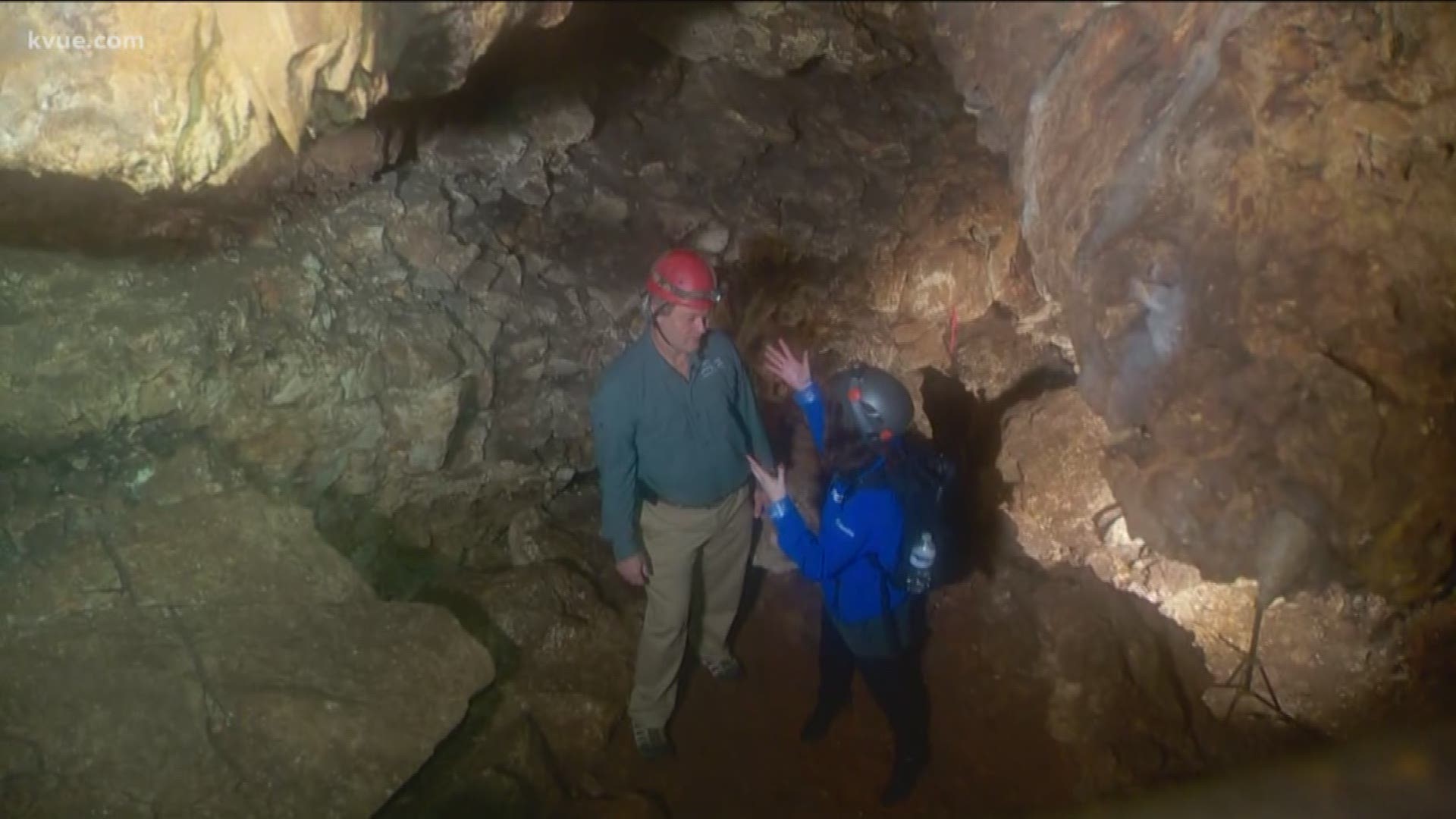 The Lady Bird Johnson Wildflower Center is getting ready for the Austin Cave Festival that will take place this weekend. Families can explore caves and learn about the animals that call the caves home.