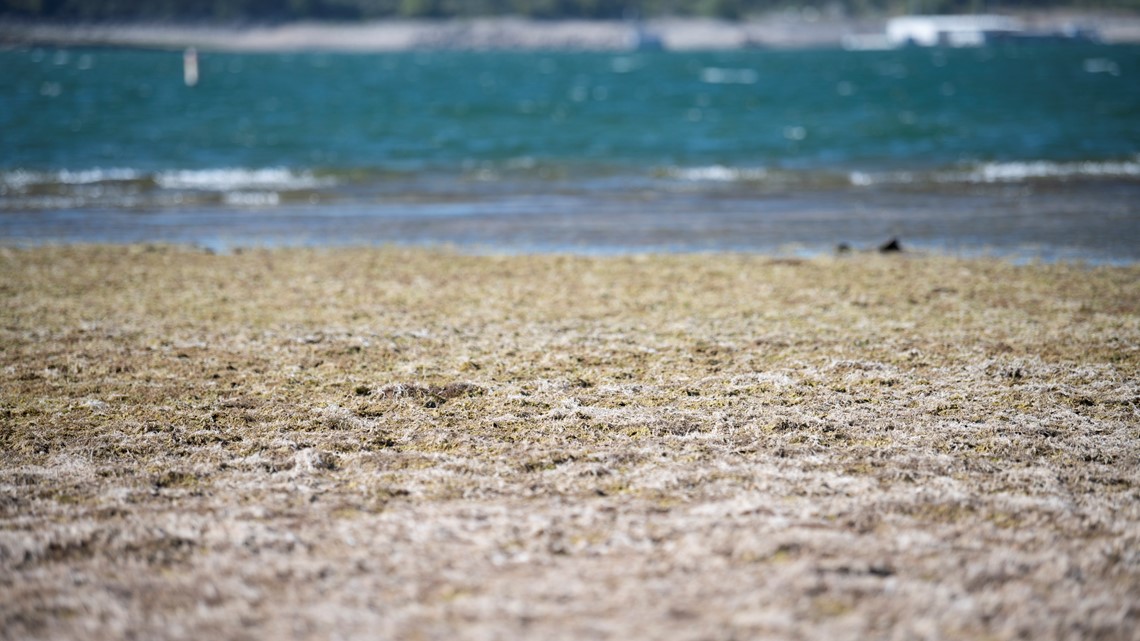 Barton Springs/Edwards Aquifer District enters Critical Drought stage - Vimarsana News