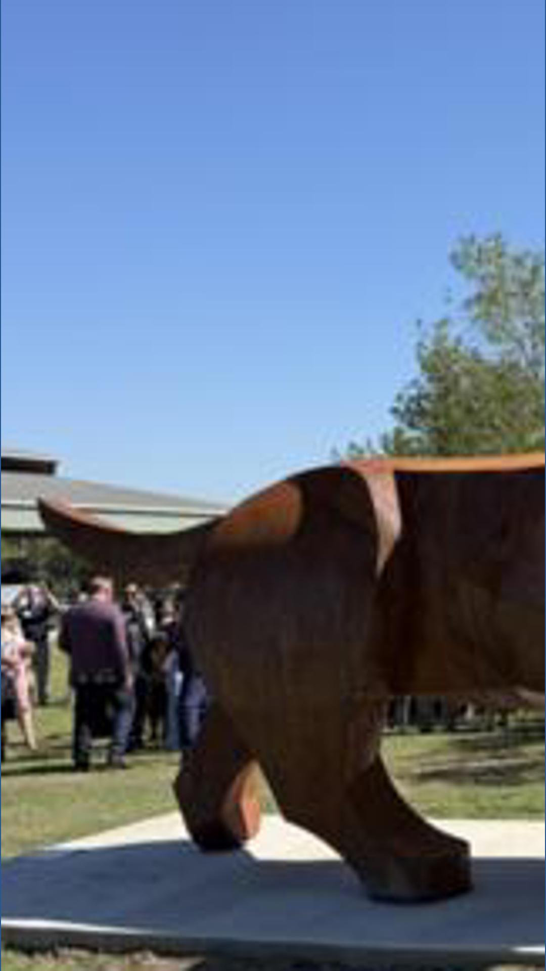Buda’s newest landmark is a 19-foot-long wiener dog | kvue.com