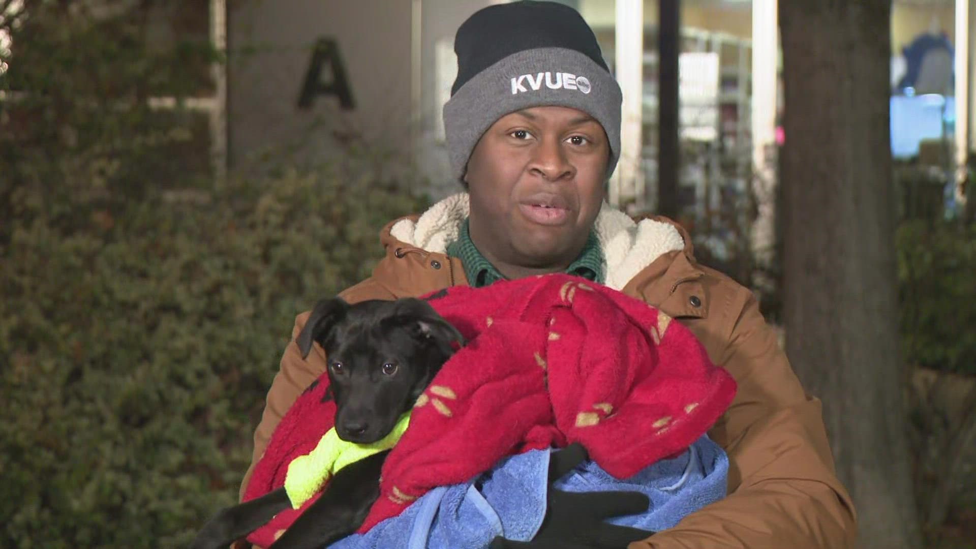 Austin Pets Alive! needs the community's help keeping animals warm during this weekend's big freeze.
