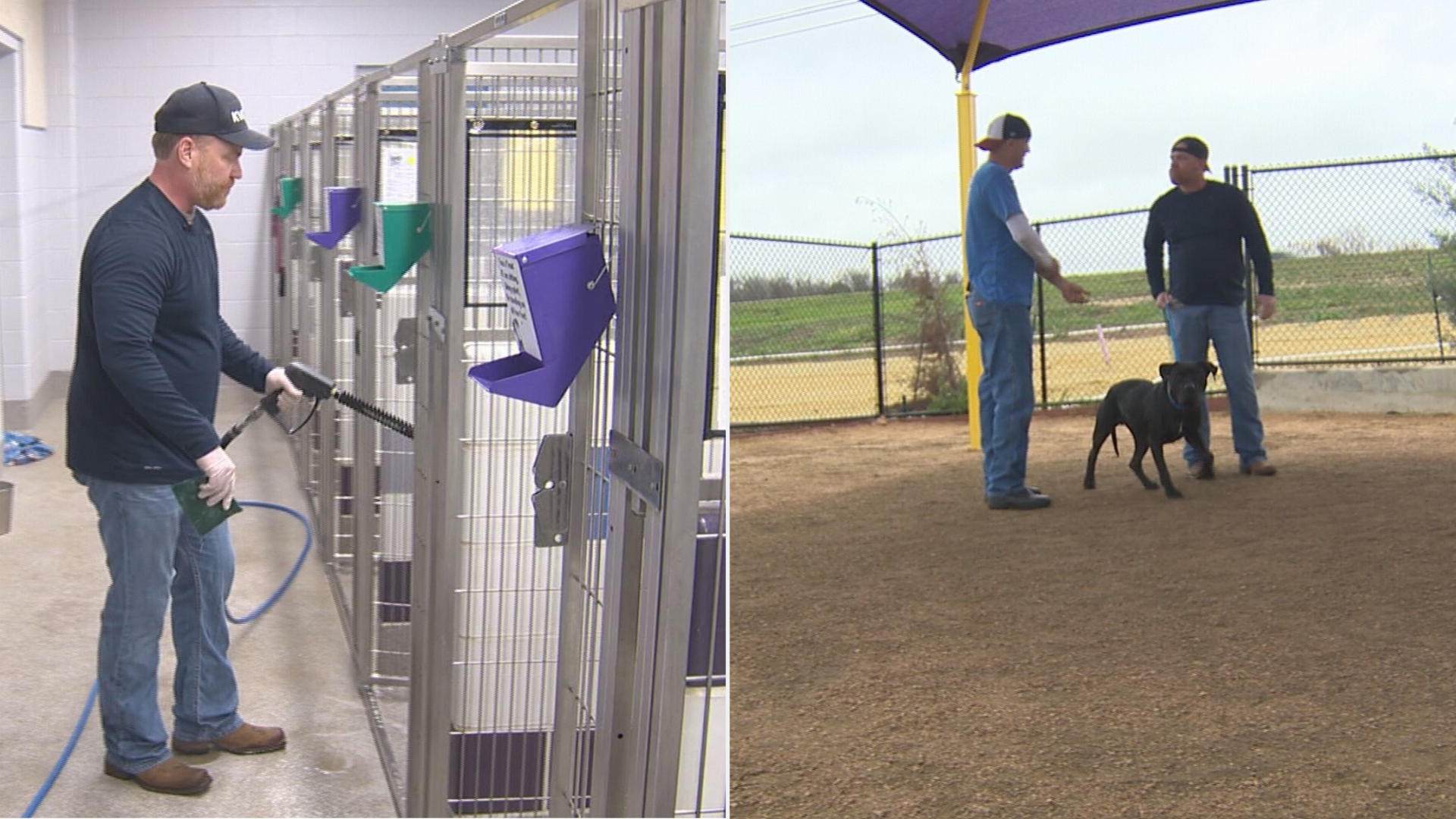 Bryan Mays learned how to clean the kennels and walk the pets at the shelter in this week's Take This Job.