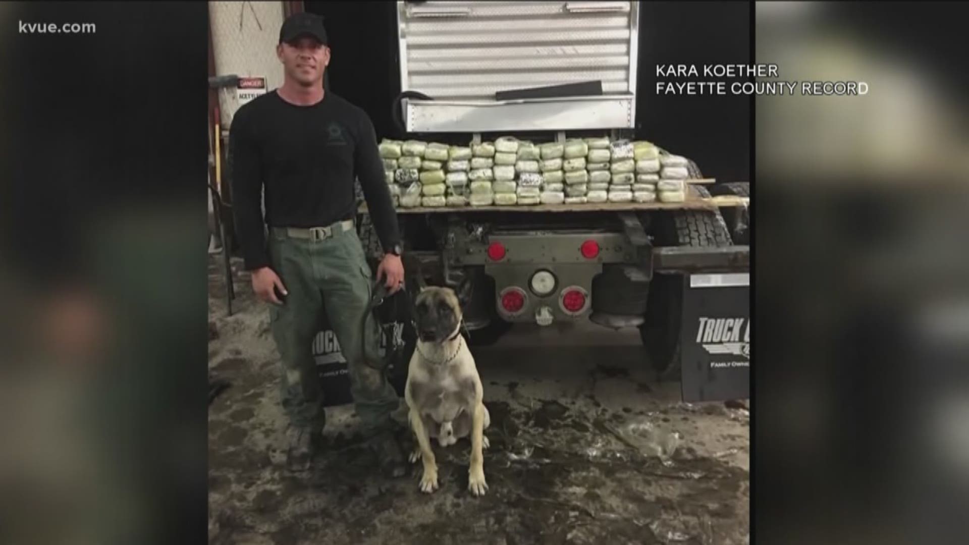 There's a new dog in town ready to take drugs off our highways -- but he's got some big paw prints to fill.