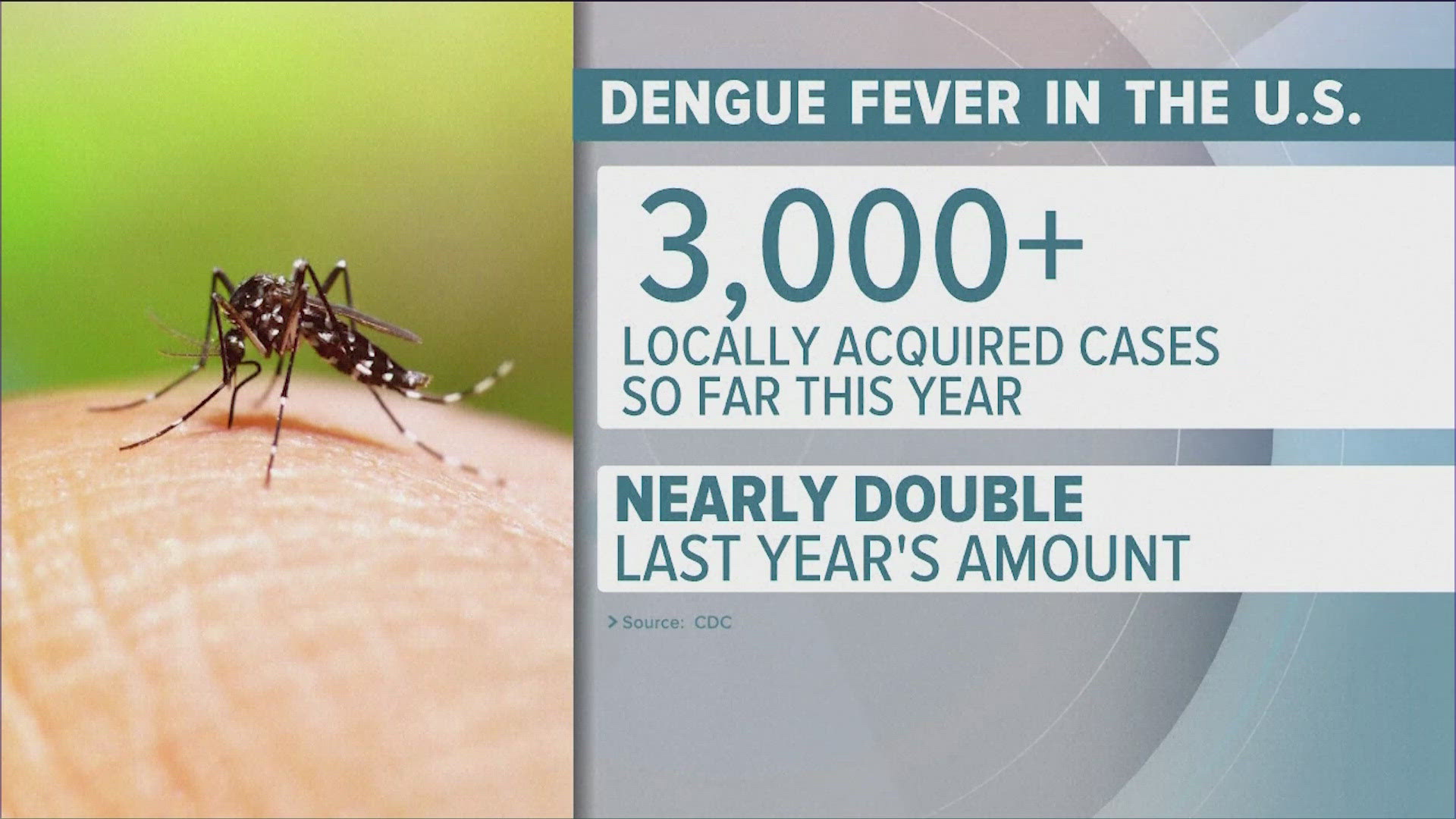 Dengue fever is on the rise as three locally-acquired cases come out of the Los Angeles area.