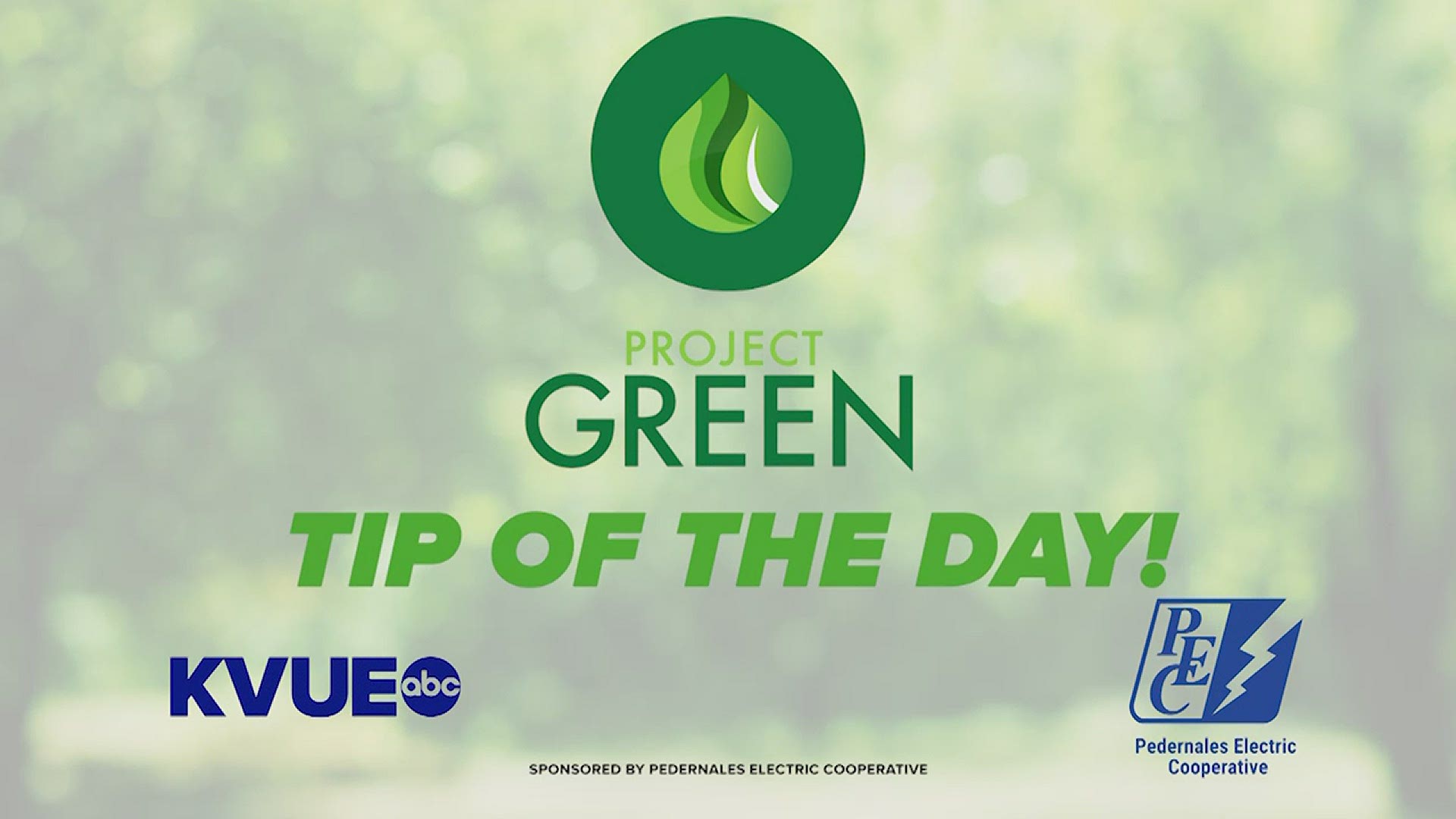 KVUE and PEC have you covered all summer long with Project Green. Sponsored Content by Pedernales Electric Coop.