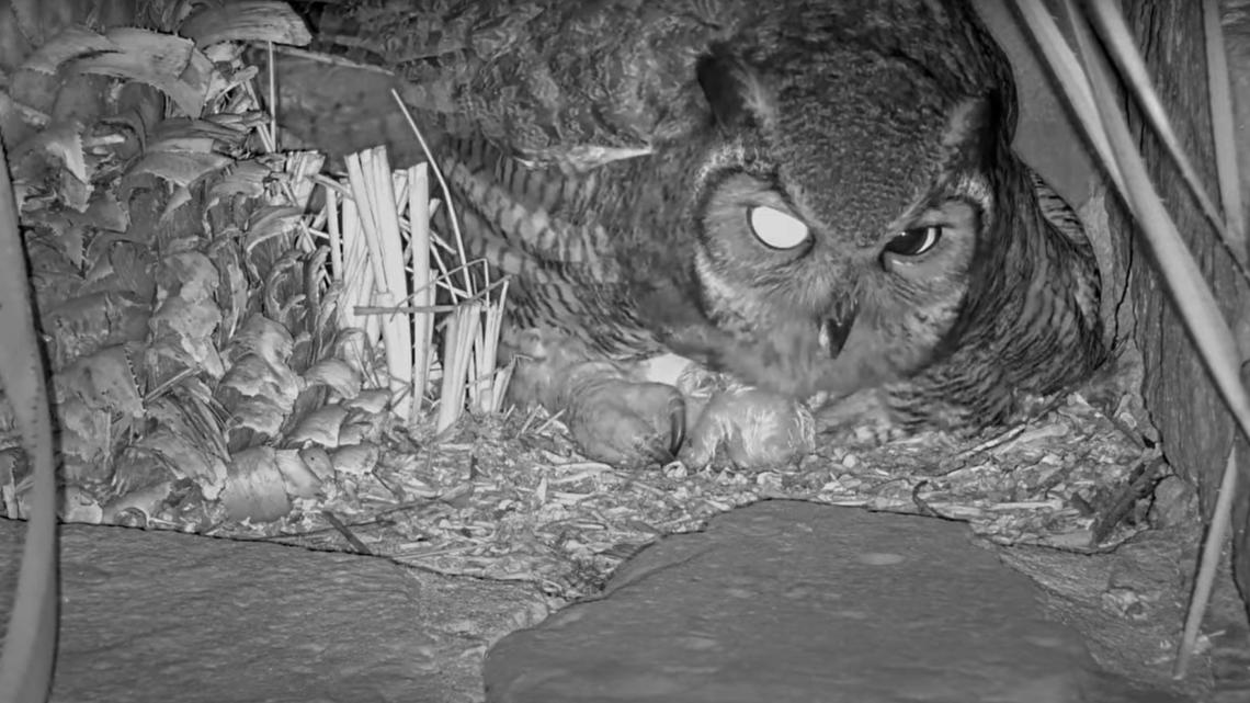 a52c9618-09e6-4a57-ae29-