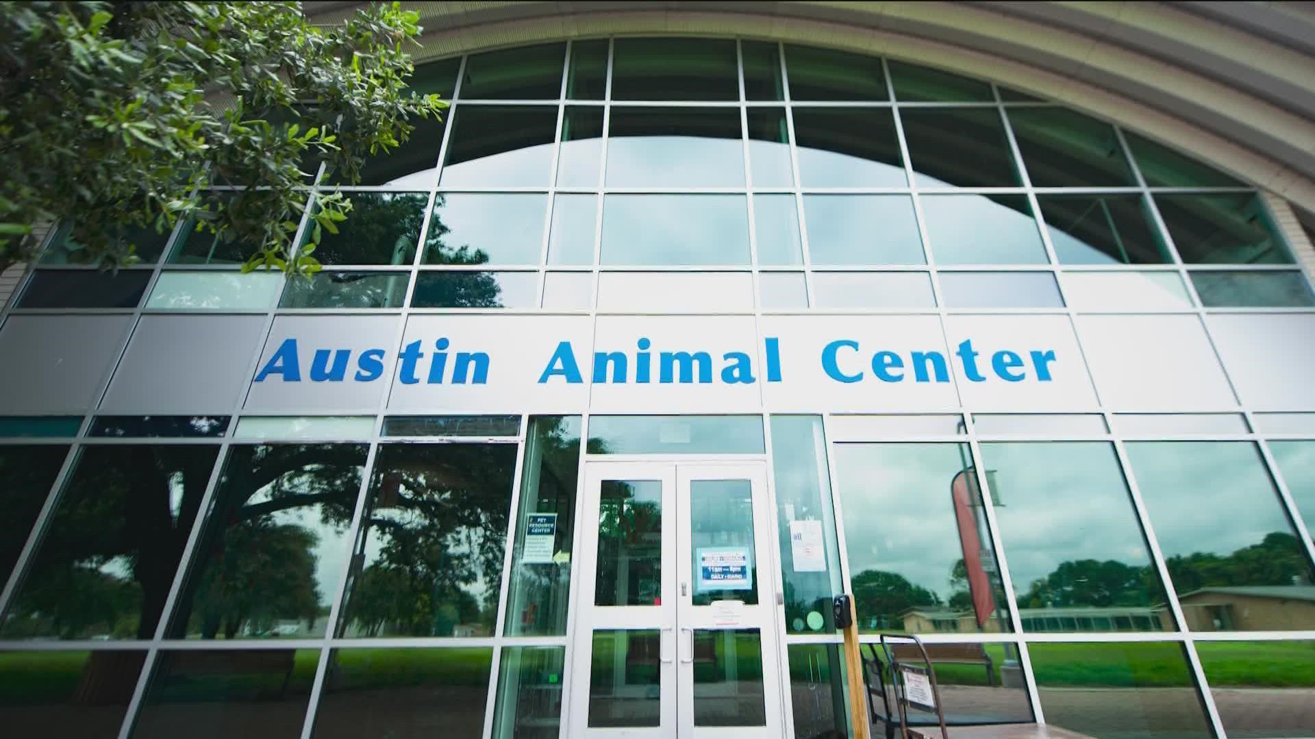 The Austin City Council recently approved an audit for the Austin Animal Center due to the overflow of pets combined with critical understaffing.