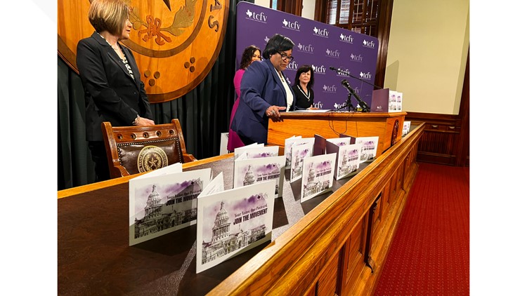Domestic violence survivors, advocates convene at Texas Capitol to make case for full funding of services