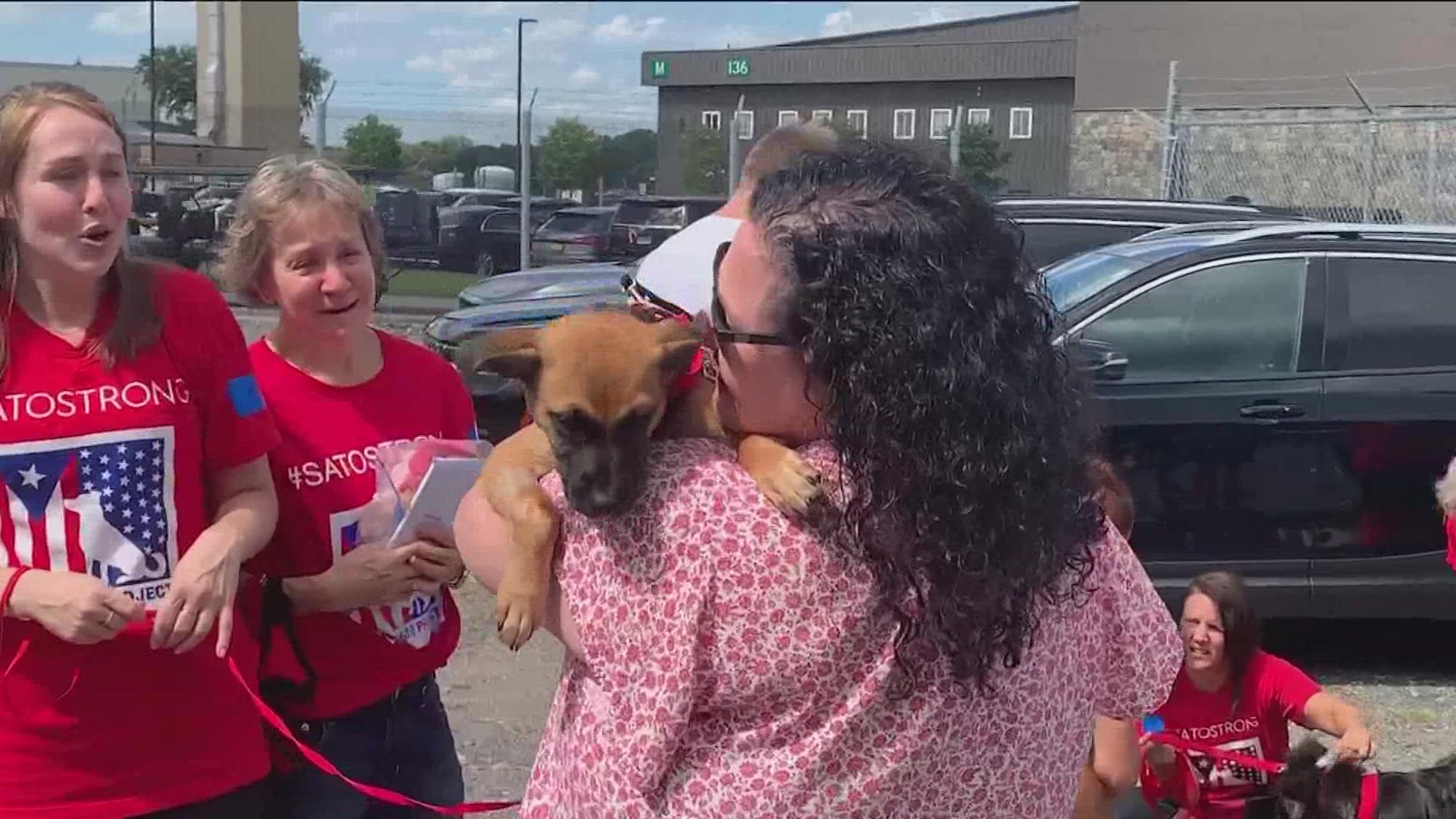 An unlikely source airlifted 300 homeless and abandoned pets from Puerto Rico to New York and Maine.