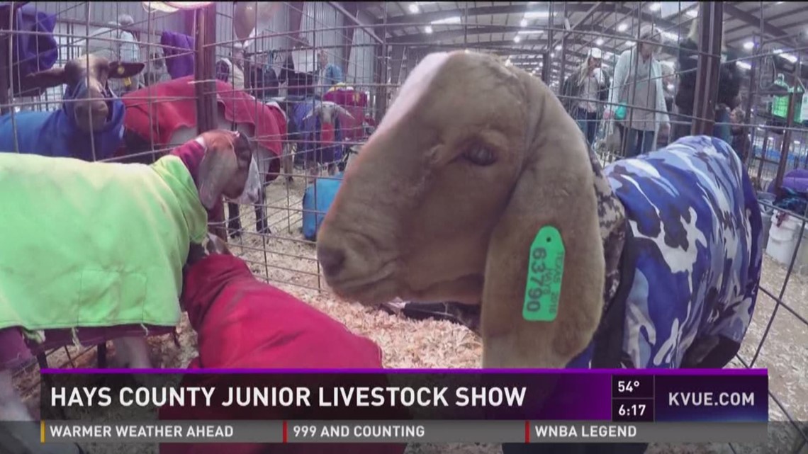 Hays County Junior Livestock Show