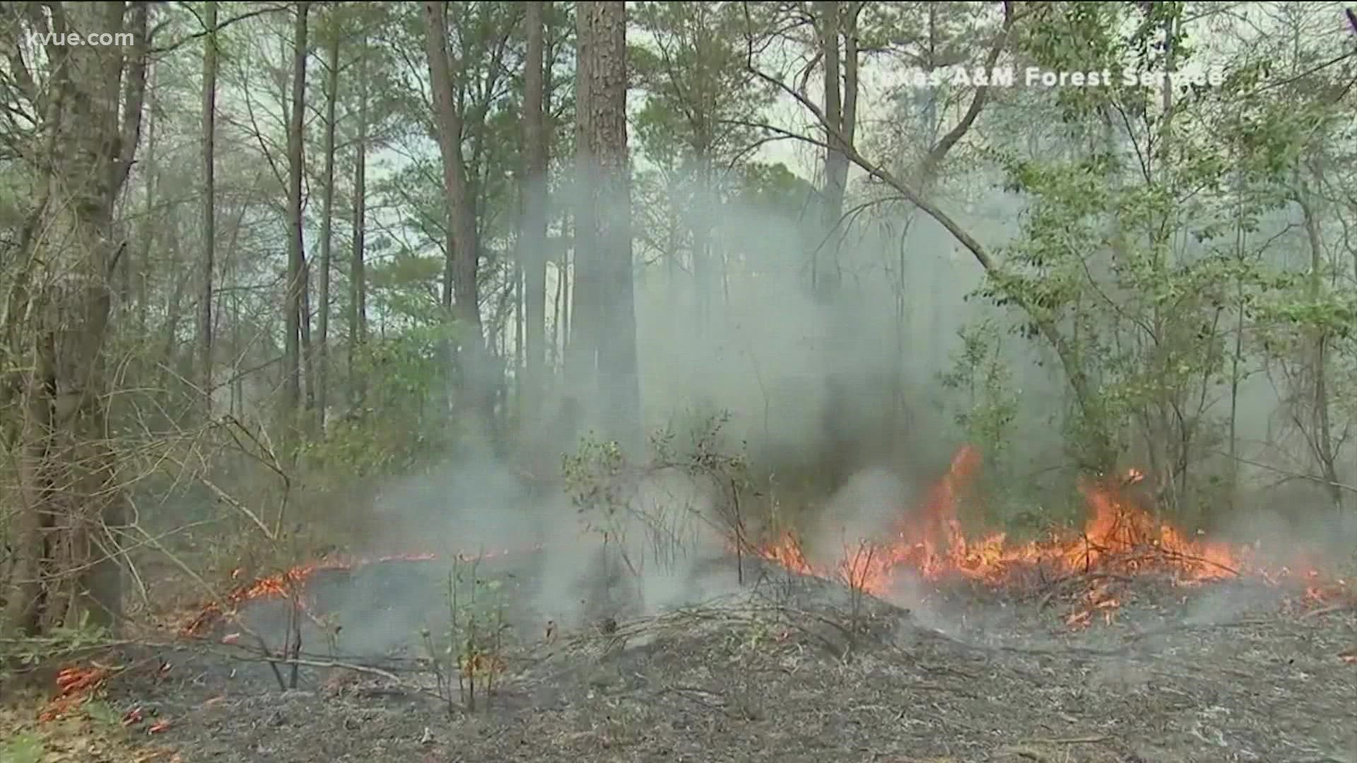Here's a look at common reasons controlled burns sometimes get out of control after a wildfire burned through 800 acres in Bastrop County.