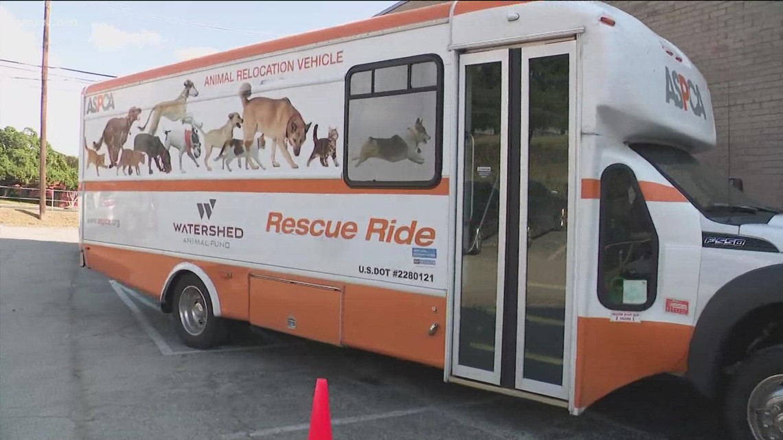 Austin Humane Society welcomes dozens of pets after Hurricane Ida