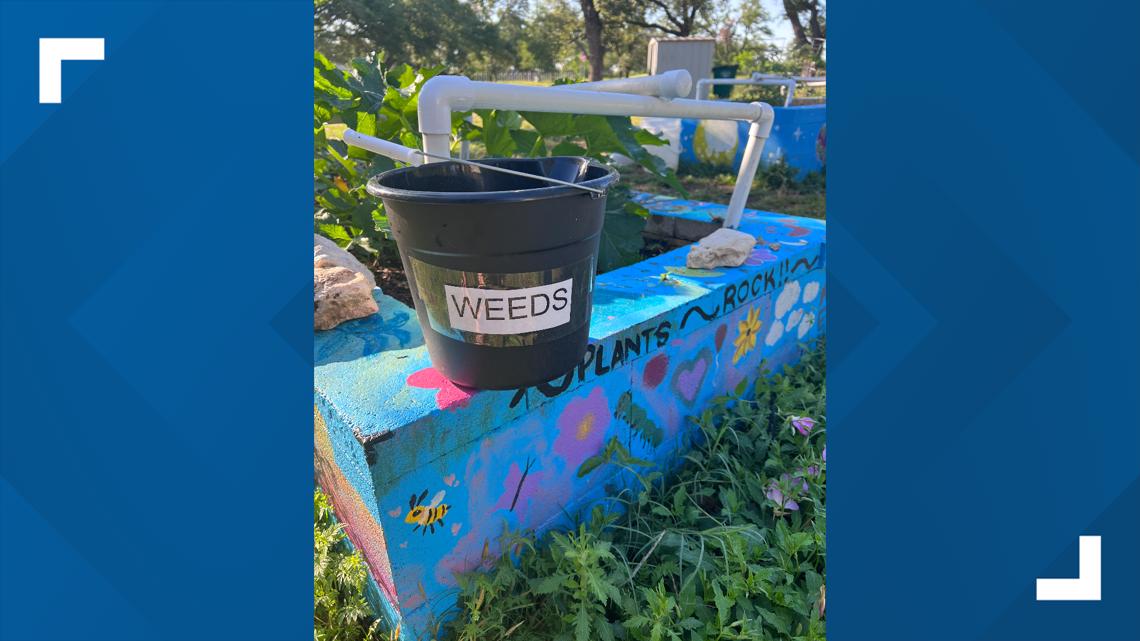 PHOTOS Pearson Ranch Middle School students learn about Earth in