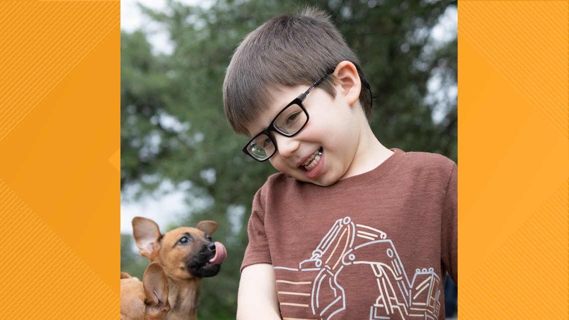 Bradly is known as a 'gentle spirit.' He's 5 and in need of a Forever Family to adopt him - Vimarsana News