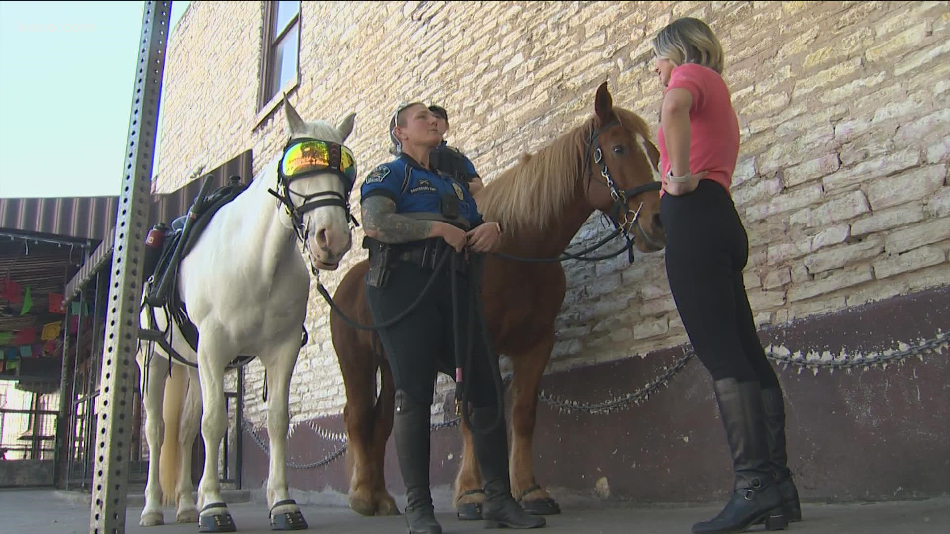 You've probably seen the Austin Police Department's Mounted Patrol Unit around town. But do you really know what they do?