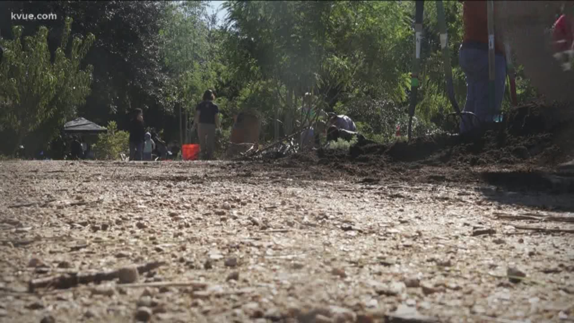 Thousands of Austin residents volunteered to help clean up parks in the area this Saturday.