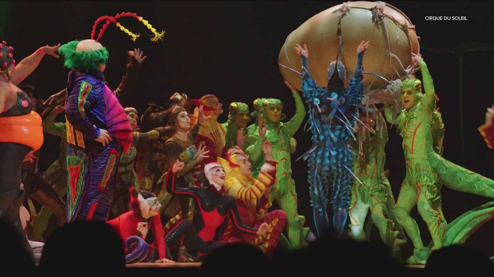 The company's "Ovo" acrobatics show will stop at the Moody Center from Oct. 9-12.